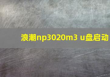 浪潮np3020m3 u盘启动